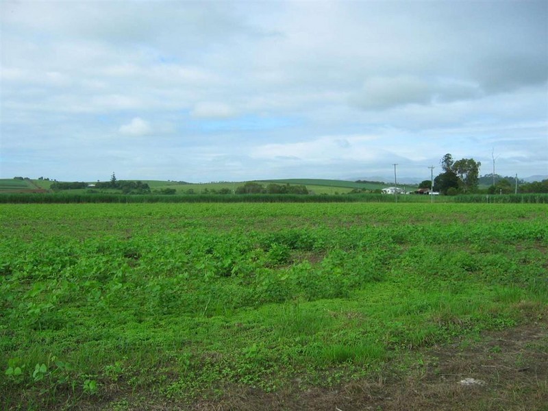 Wallaville QLD 4671