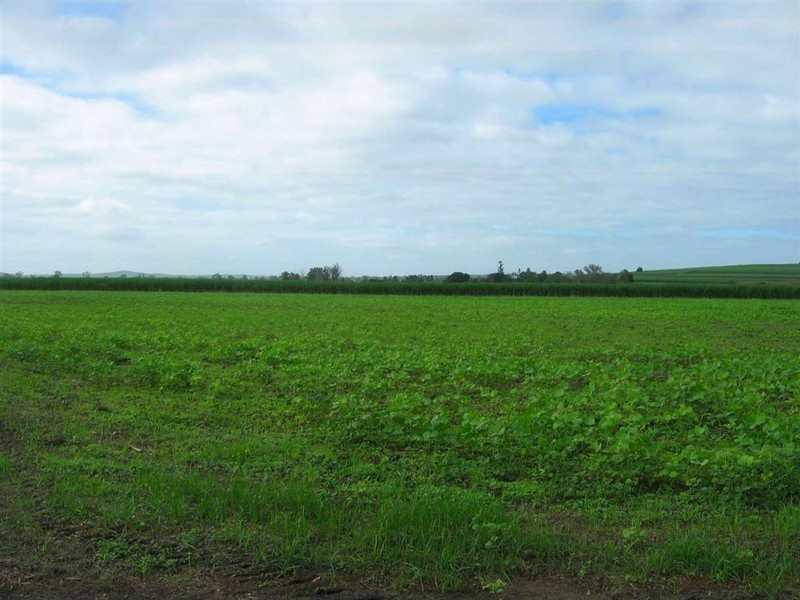 Wallaville QLD 4671