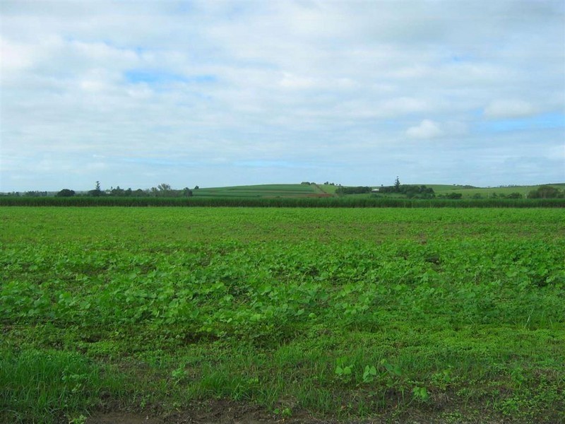 Wallaville QLD 4671