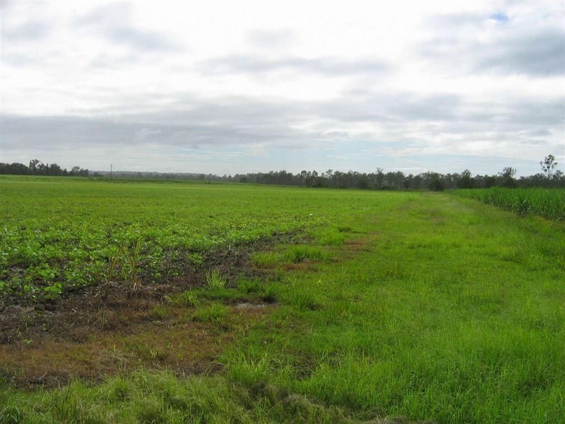 Wallaville QLD 4671