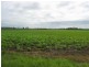 Wallaville QLD 4671