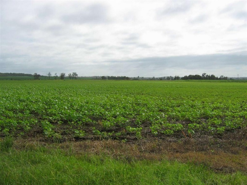 Wallaville QLD 4671