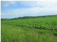 Wallaville QLD 4671