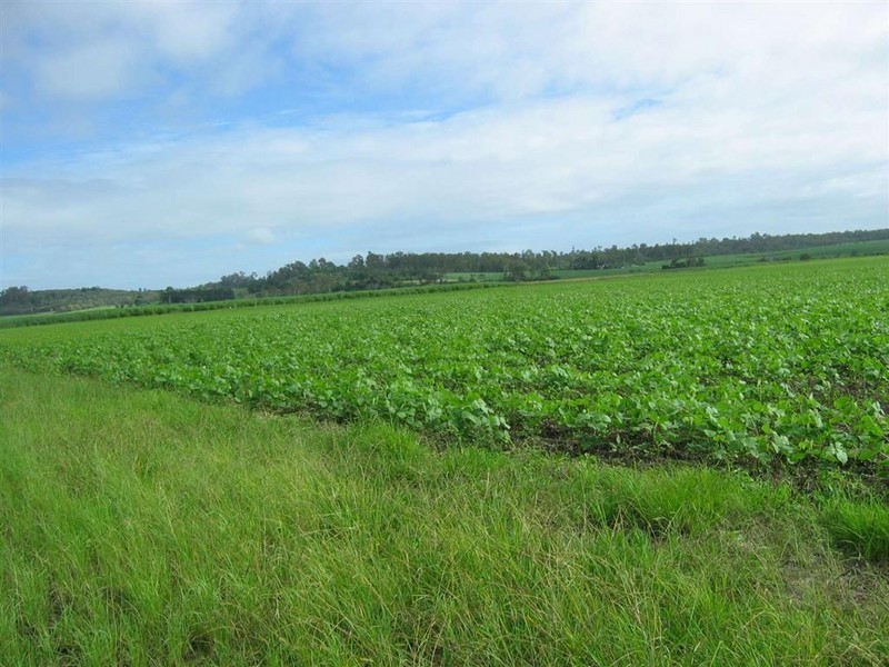 Wallaville QLD 4671