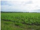 Wallaville QLD 4671