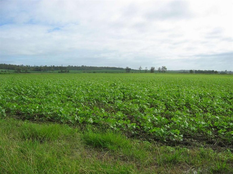 Wallaville QLD 4671