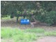 Wallaville QLD 4671