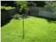 26 Esplanade, Point Vernon QLD 4655