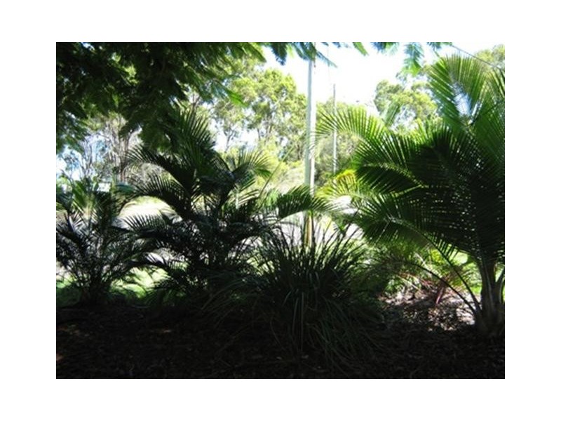 26 Esplanade, Point Vernon QLD 4655