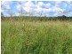 Bauple QLD 4650