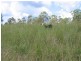 Bauple QLD 4650