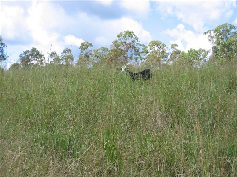 Bauple QLD 4650