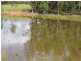 Bauple QLD 4650