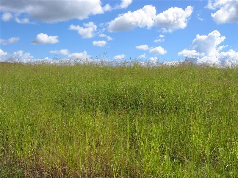 Bauple QLD 4650