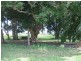 Bauple QLD 4650