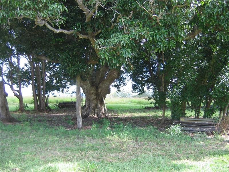 Bauple QLD 4650