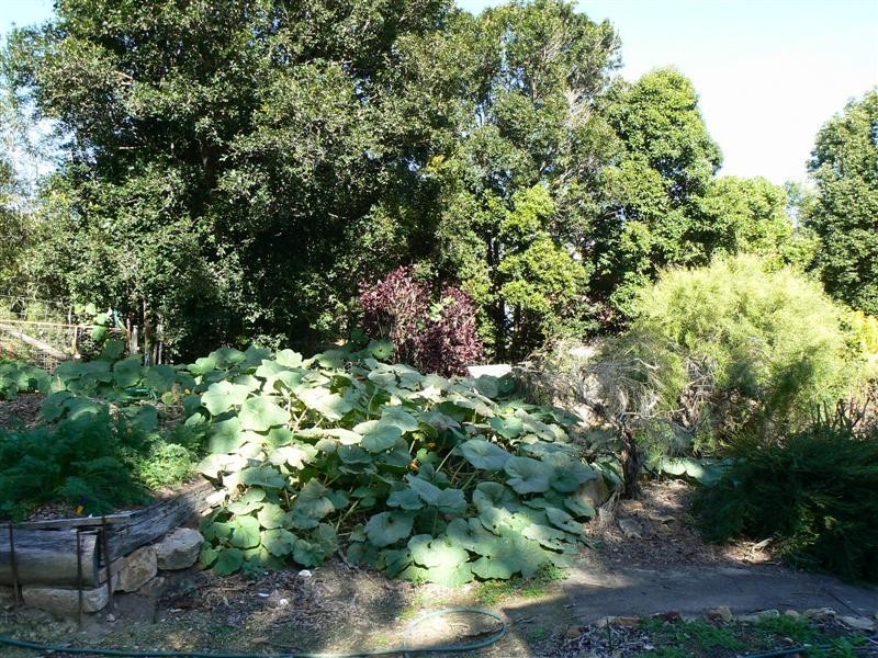 4 Balmoral Court, Urraween QLD 4655