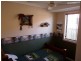 4  Darby Ct, Pialba QLD 4655