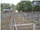 Alloway QLD 4670