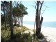 19 Lakes Blvd, Burrum Heads QLD 4659