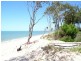 19 Lakes Blvd, Burrum Heads QLD 4659