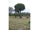 Goomeri QLD 4601