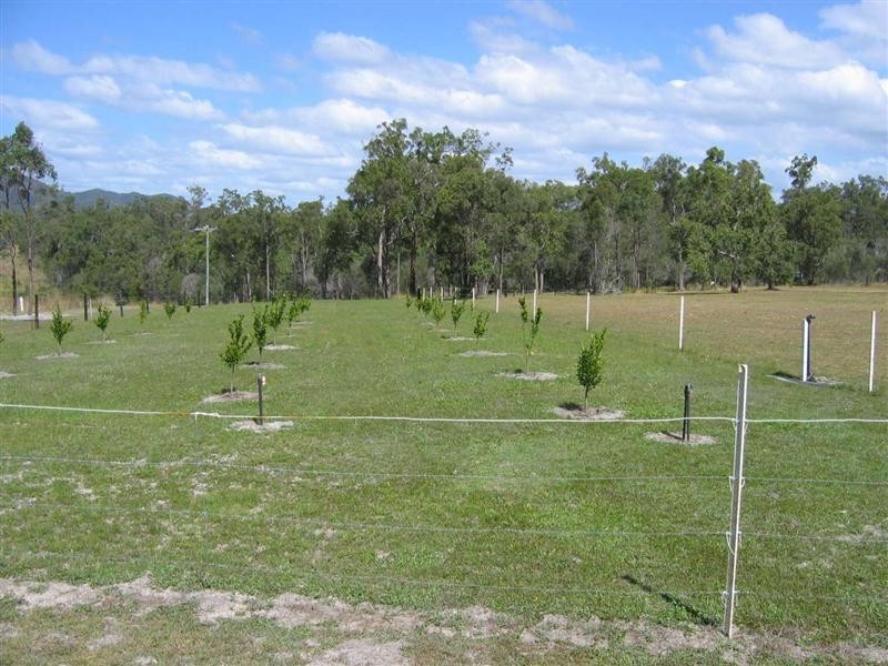 Mount Maria QLD 4674