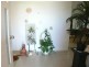 10 Picadilly Cct, Urraween QLD 4655