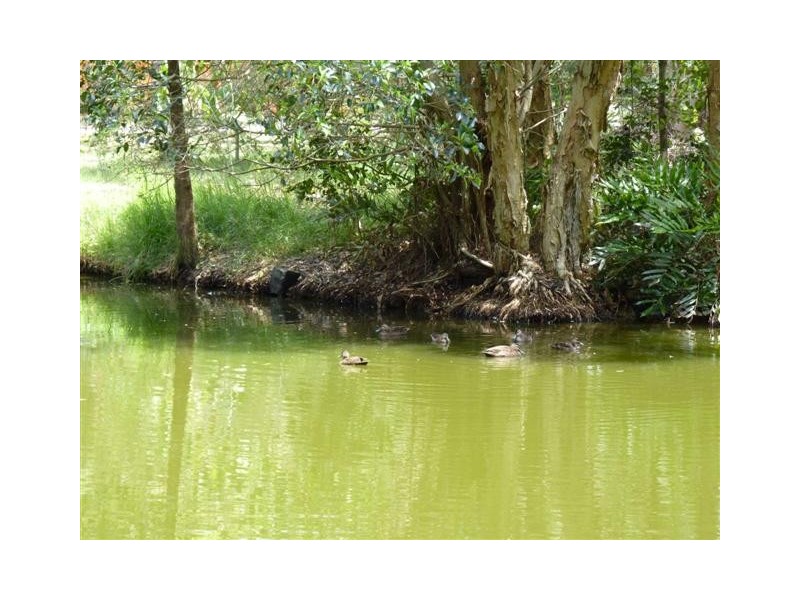 28-32  Panorama Dr, Dundowran Beach QLD 4655