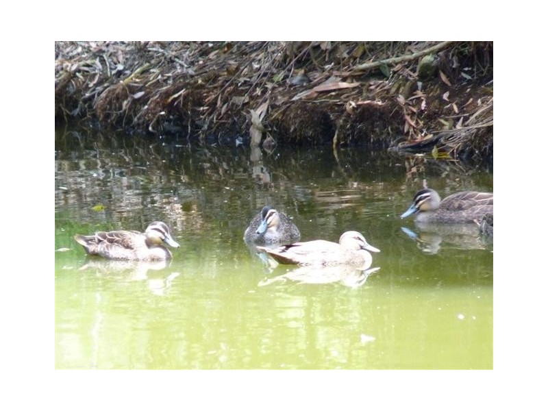 28-32  Panorama Dr, Dundowran Beach QLD 4655