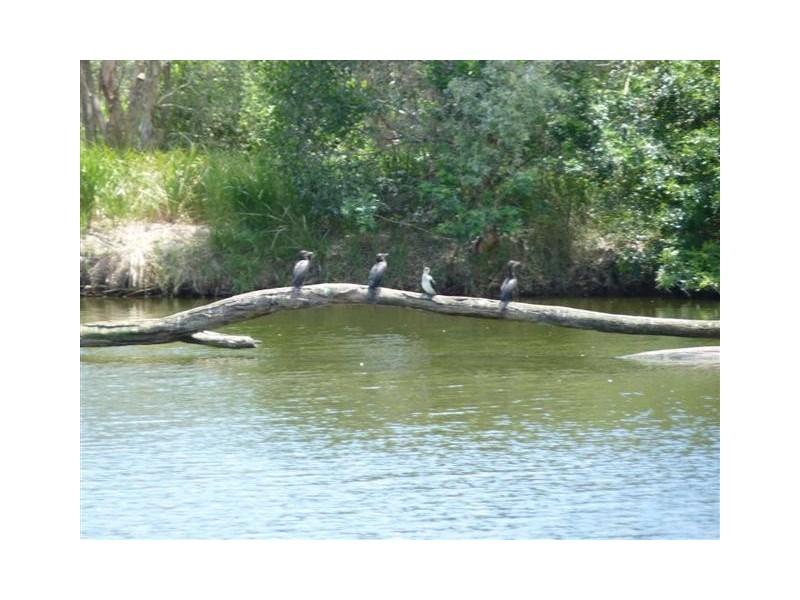 28-32  Panorama Dr, Dundowran Beach QLD 4655