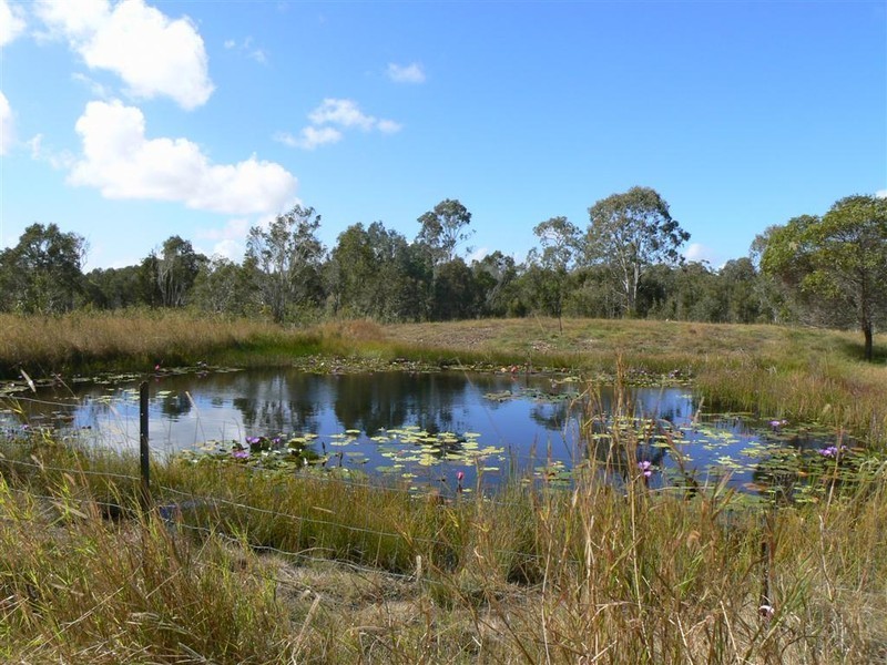 165 Parke Ave, Sunshine Acres QLD 4655