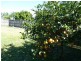2 Woralie Way, Urraween QLD 4655