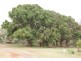 Apple Tree Creek QLD 4660