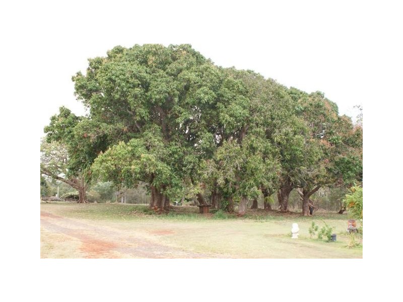Apple Tree Creek QLD 4660