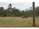 Apple Tree Creek QLD 4660