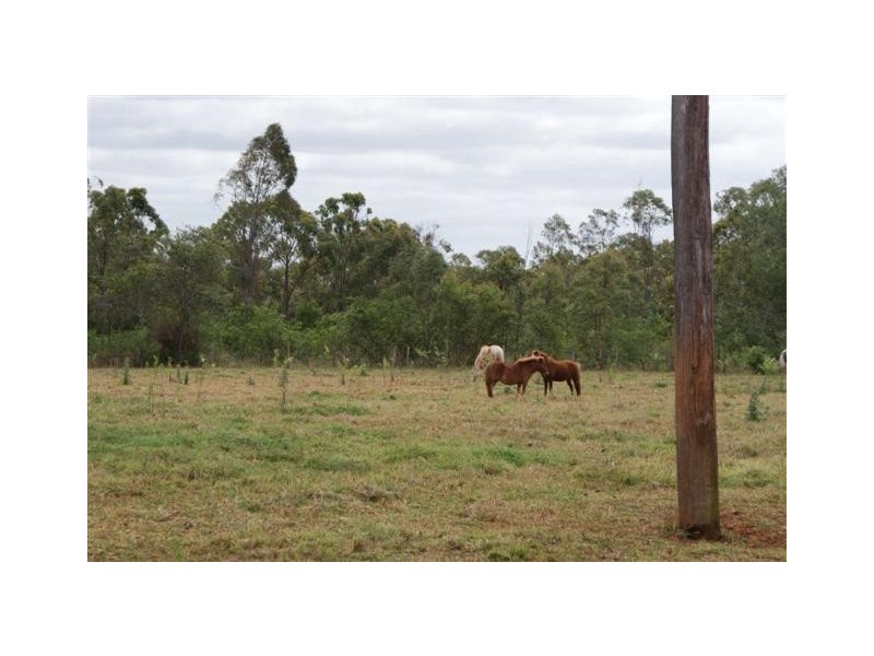 Apple Tree Creek QLD 4660