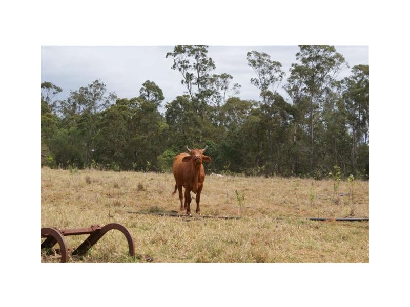 Apple Tree Creek QLD 4660