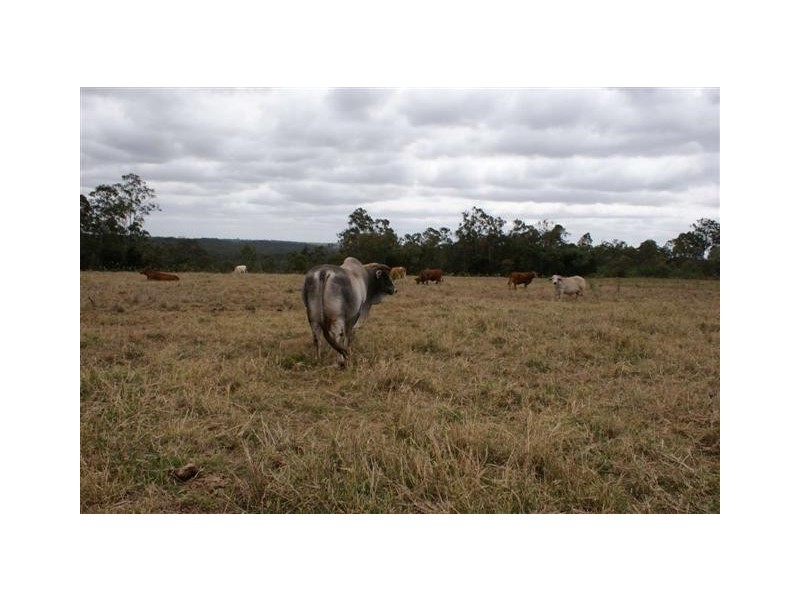 Apple Tree Creek QLD 4660
