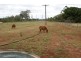 Apple Tree Creek QLD 4660