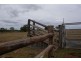 Apple Tree Creek QLD 4660