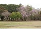 Apple Tree Creek QLD 4660