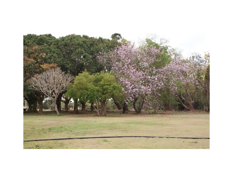 Apple Tree Creek QLD 4660
