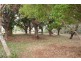 Apple Tree Creek QLD 4660