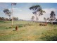 Berajondo QLD 4674