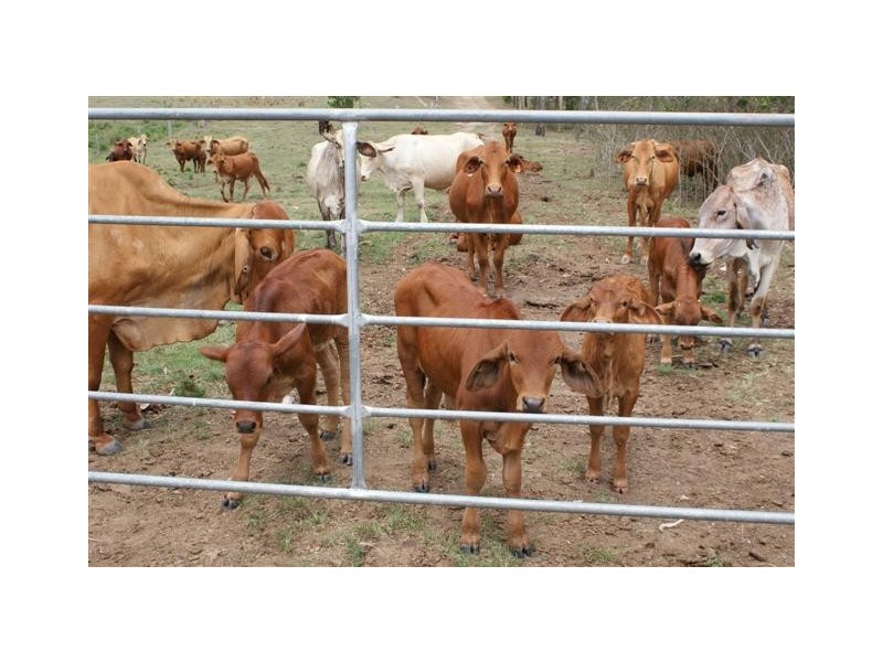 Berajondo QLD 4674