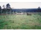 Berajondo QLD 4674