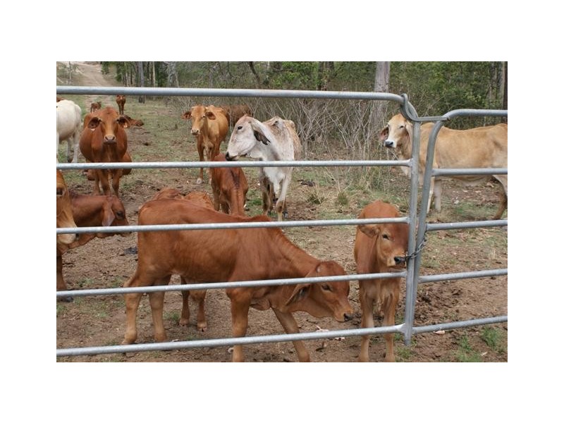 Berajondo QLD 4674