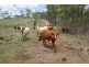 Berajondo QLD 4674