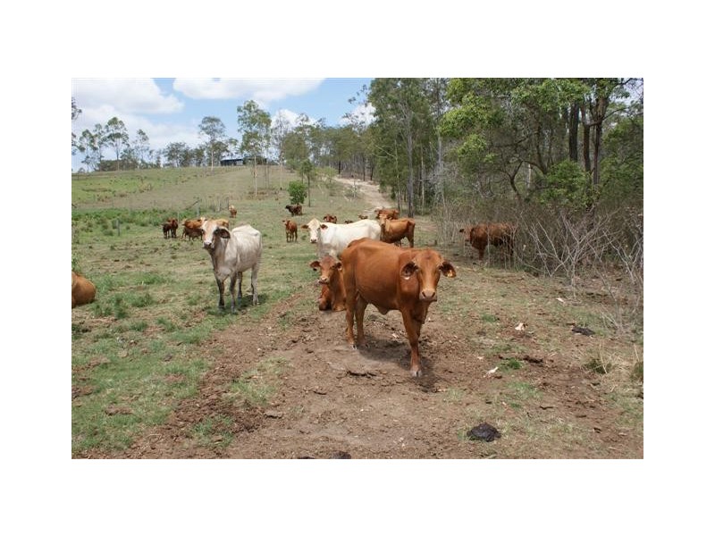 Berajondo QLD 4674